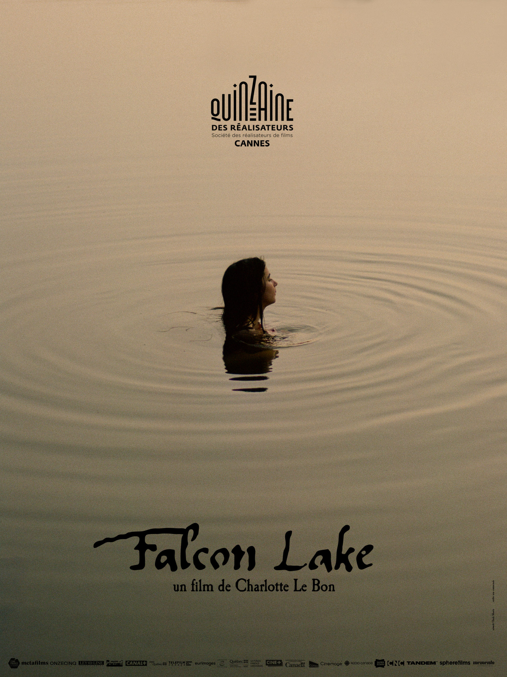 Affiche taser Falcon lake